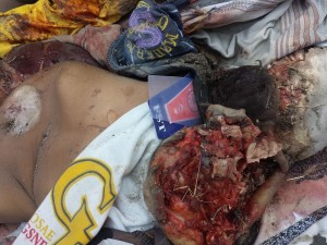 11062362_819391538179645_184498522591344307_n