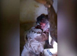 11225996_820644681387664_1125556315158479037_n