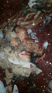 11947824_1462254110748294_414809773014544066_o