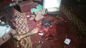 11954555_1462253927414979_619011536761254296_n