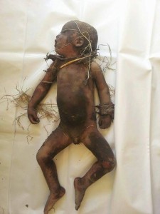 12007254_1467463013560737_1852265236_n