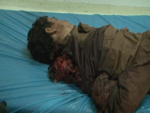 12032551_1206344496049348_1873910174_n