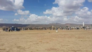 12167994_1475284452778593_641391160_n