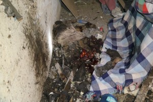 11988728_815810375204428_4974439441727026133_n