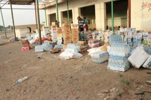 11994347_1466687150304990_1782094821_n