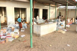 11997093_1466687873638251_549716603_n