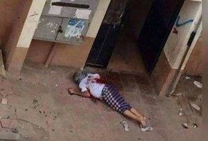 11997400_1463537280619977_1917979865_n