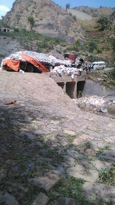 12025410_949131648484551_186743640_n