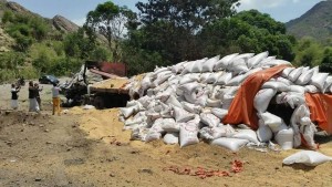 12032453_949131158484600_1939986729_n