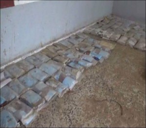 12167565_1475520076088364_874948150_n