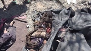 12167759_1474929936147378_903962785_n