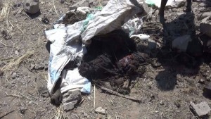 12169683_1474929822814056_434391250_o