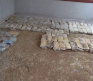 12170413_1475520082755030_1755371554_n