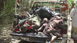 12171497_1474929892814049_1449224002_o