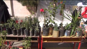 12398708_776298892516658_36645473_o