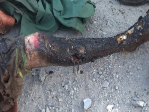 12661840_1673589859590886_3475971380952503538_n