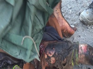 940857_1673589686257570_3497080128798572376_n