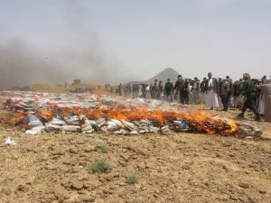 احراق الحشيش