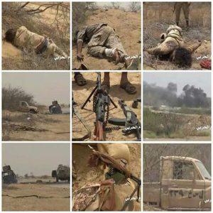 13731438_1179060942133667_498213600118780073_n