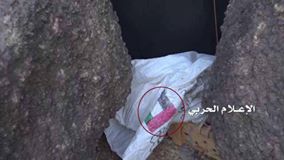 13775608_174156842997731_5999615767914361852_n